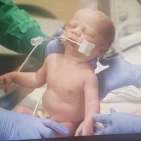 Meet your Posher, Melody - Picture 1 of 1